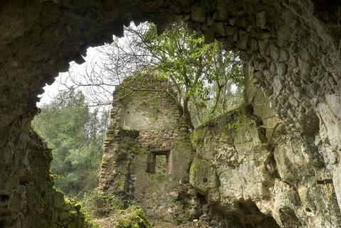 immagine dei ruderi della Mola di Formello